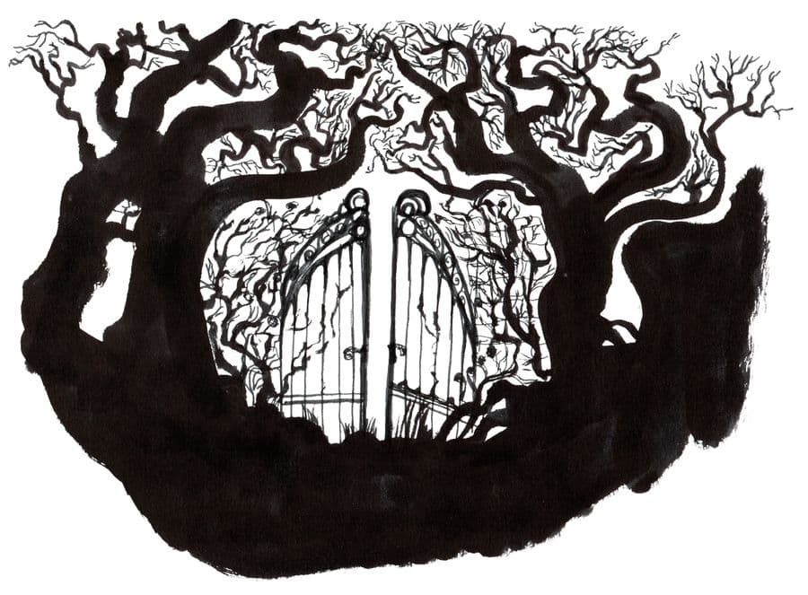 Gate Drawing 